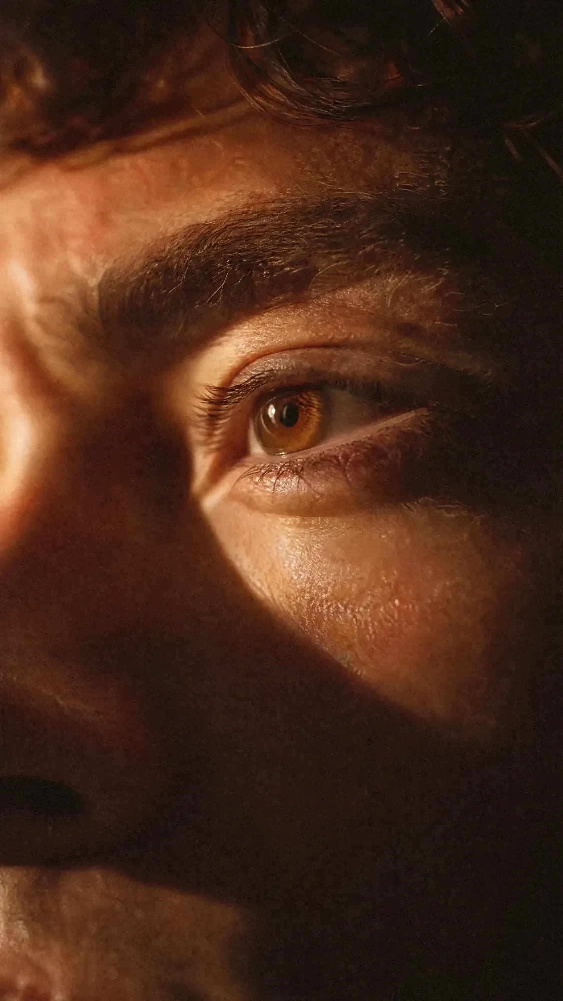 Close-up of an amber eye in low, warm light.